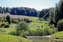 Champ_Vuissens-058.jpg
